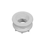 Picture of Wall Fitting Filter Waterway 2"Fpt W/Gasket & Lock R 400-9130