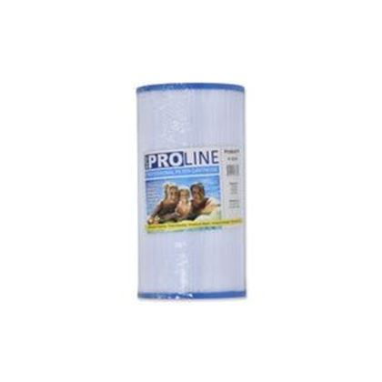 Picture of Proline Spa Filter Cartridge P-5345
