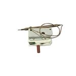 Picture of Eaton Hi-Limit 275-2662-00
