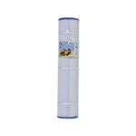 Picture of Proline Spa Filter Cartridge P-4970