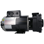 Picture of 3 Hp Lx Spa Pump 2 Speed 230V 56Wua300-Ii