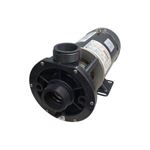 Picture of 1 Hp Waterway E-Series Spa Pump 1 Speed 115V 3410410-15