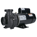 Picture of 2 Hp Balboa Djaygb Spa Pump 2 Speed 230V 4239208-S