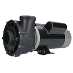 Picture of 2.5 Hp Lx Spa Pump 2 Speed 230V 48Wua2002C-Ii