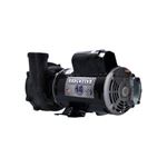 Picture of 3 Hp Waterway Executive Spa Pump 2 Speed 230V 3421221-1A