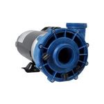 Picture of 1.5 Hp Gecko Aqua-Flo Fmxp2 Spa Pump 2 Speed 115V 06115000-1040