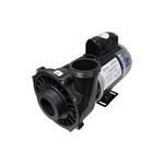 Picture of 2 Hp Waterway Executive Spa Pump 2 Speed 230V 3720821-13