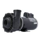 Picture of 5 Hp Waterway Executive Spa Pump 2 Speed 230V 3722021-13