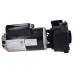 Picture of 1.5 Hp  Jacuzzi Lx Series Spa Pump 2 Speed 115V 6500-845