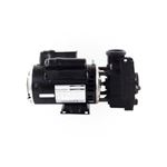 Picture of 2.5 Hp Gecko Aqua-Flo Fmxp2 Spa Pump 2 Speed 230V 06125000-1040