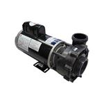Picture of 4 Hp Gecko Aqua-Flo Fmxp2E Spa Pump 2 Speed 230V 05340011-5040