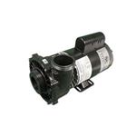 Picture of 5 Hp Waterway Executive Spa Pump 1 Speed 230V 3712021-1D