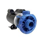 Picture of 1.5 Hp Gecko Aqua-Flo Fmcp Spa Pump 2 Speed 230V 02615005-1010