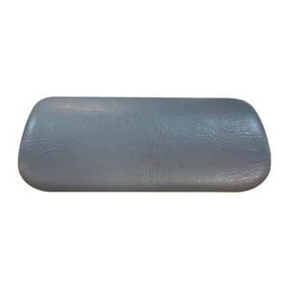 Picture of Dynasty Pillow S01901Sil