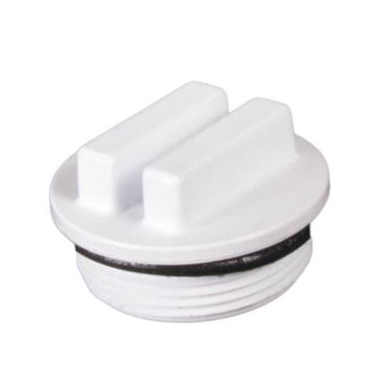 Picture of  1.5 In NPT Plug W/O-Ring White 25543-000-000