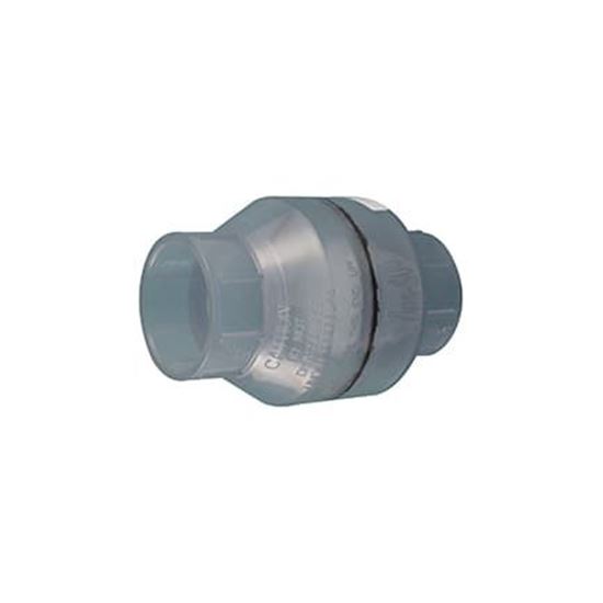 Picture of  2In S X S Swing Check Valve Clear 25062-209-000