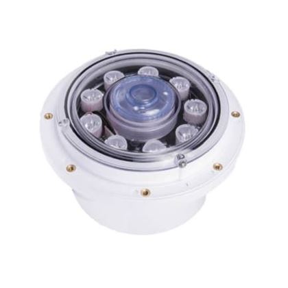Picture of Led Bubbler, Gunite Pools - 50 Ft 25503-050-000