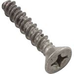 Picture of Screw Pentair Rainbow DSF/Safety Skimmer 13-16 x 1-1/4" R172474