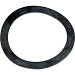 Picture of Gasket Pentair Mytilus/Mitra Bulkhead 2-3/8"ID 3"OD 154538