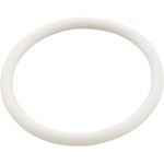 Picture of O-Ring Pentair TR100C/TR140C Valve Body to Lid 274495