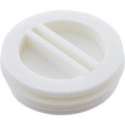 Picture of Plug Pentair Vac-Mate Skimmer 1-1/2" Threaded R22010Z