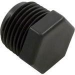 Picture of Plug Pentair Rainbow Automatic Feeder 320 1/2 NPT R172134