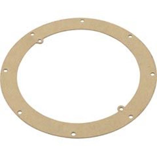 Picture of Gasket Pentair American Products Sump Body 87102000