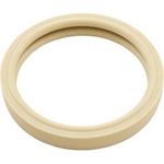Picture of Lens Gasket American/Pentair Spabrite 4" Off White 79108500