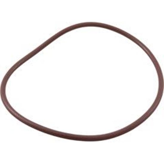 Picture of Lid O-RingVitonPentair HC-3315/3330/3340 Automatic Feeders R172240Z