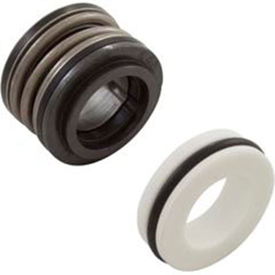 Picture of Shaft Seal Pent StaRite DuraGlas 5/8" ShaftBuna Pre 1998 U109-93SS