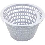 Picture of Basket Skimmer OEM American Products/Pentair FAS 85003900