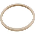 Picture of Gasket Pentair AmerLite Light Lens 8-3/8" 79101600Z