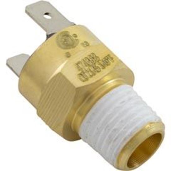 Picture of Automatic Gas Shutoff Switch Pentair MasterTemp 125 474368Z