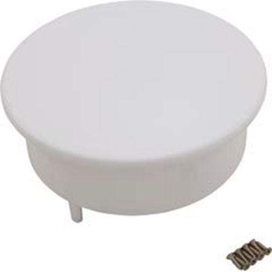 Picture of Niche Filter Rainbow/Pentair Top Load w/Flat Lid White R172542WH