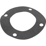 Picture of Gasket Pentair C-Series Flange 070943