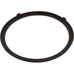 Picture of Gasket Pentair AquaLumin III Light Lens 619599Z