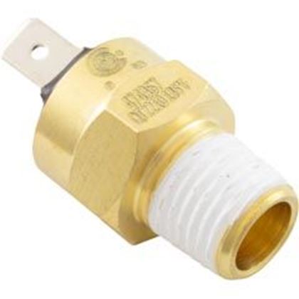 Picture of Hi-Limit Switch Pentair Max-E-Therm/MasterTemp 1/4" - 18npt 42001-0063S