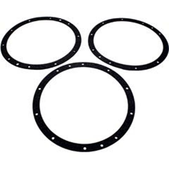 Picture of Niche Gskt KitPent Amerlite10-HoleVinylw/o Dbl Wall Gskt 79200400