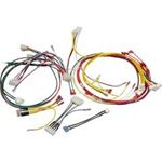 Picture of Wire Harness Pentair MasterTemp 125 120/240v 461107