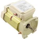 Picture of Motor Pentair WFXF 5.0hp 3PH TEFC 208-230/460v Almond 354813S