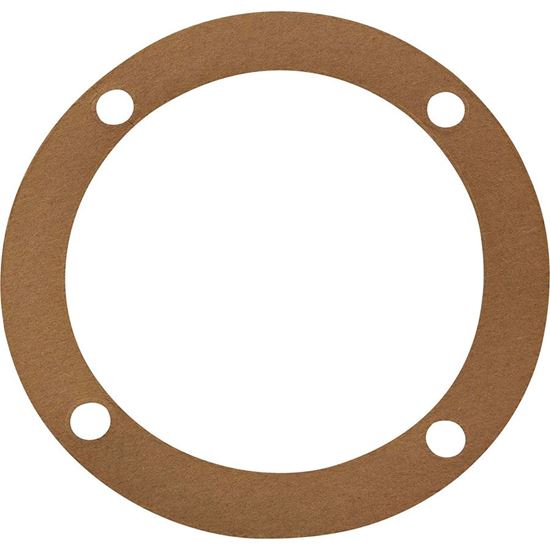 Picture of Gasket Pump Sta-Rite (C20-009)  Generic G-8