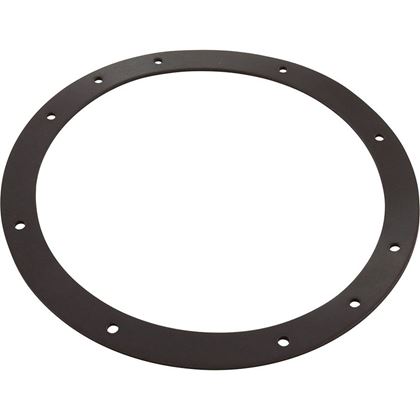 Picture of Gasket Sta Rite Vinyl Liner Light Niche Generic G-435