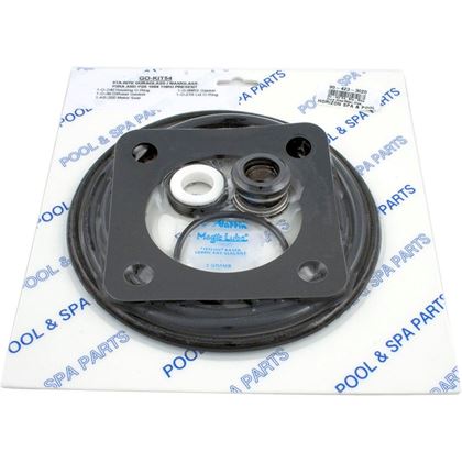 Picture of Go-Kit 54 Sta-Rite Dura Glas/Maxi Glas `98-Present GO-KIT 54