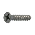 Picture of Waterway Screw 819-0006