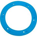Picture of Gasket Pentair Small Niche Vinyl 05166-0001Z