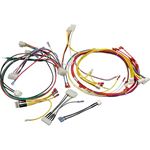 Picture of Wire Harness Pentair MasterTemp 125 120/240v 461107