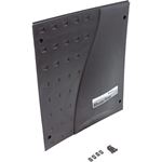 Picture of Service Side Panel Pentair MasterTemp 42002-0039Z