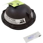 Picture of Tank Lid Pentair PacFab Triton II 6" w/ O-Ring Black 152519Z
