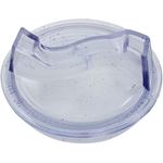 Picture of Trap Lid Pentair DuraGlas 6" Trap 16920-0011Z