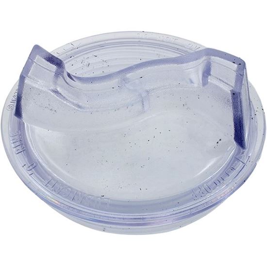 Picture of Trap Lid Pentair DuraGlas 6" Trap 16920-0011Z